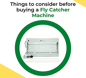 Things to consider before buying a Fly Catcher Machine