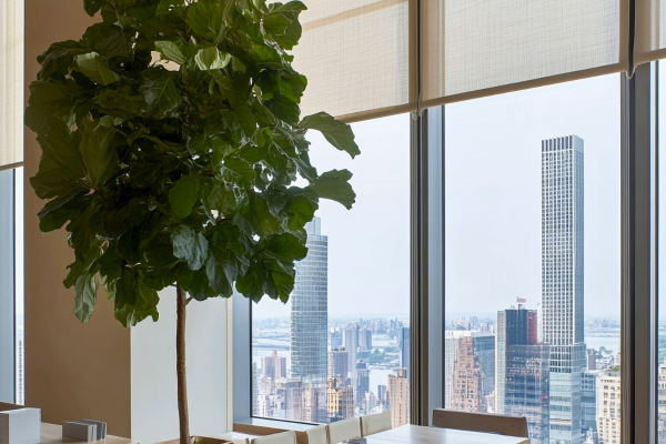 Air Curtain for Hotels and Restaurants